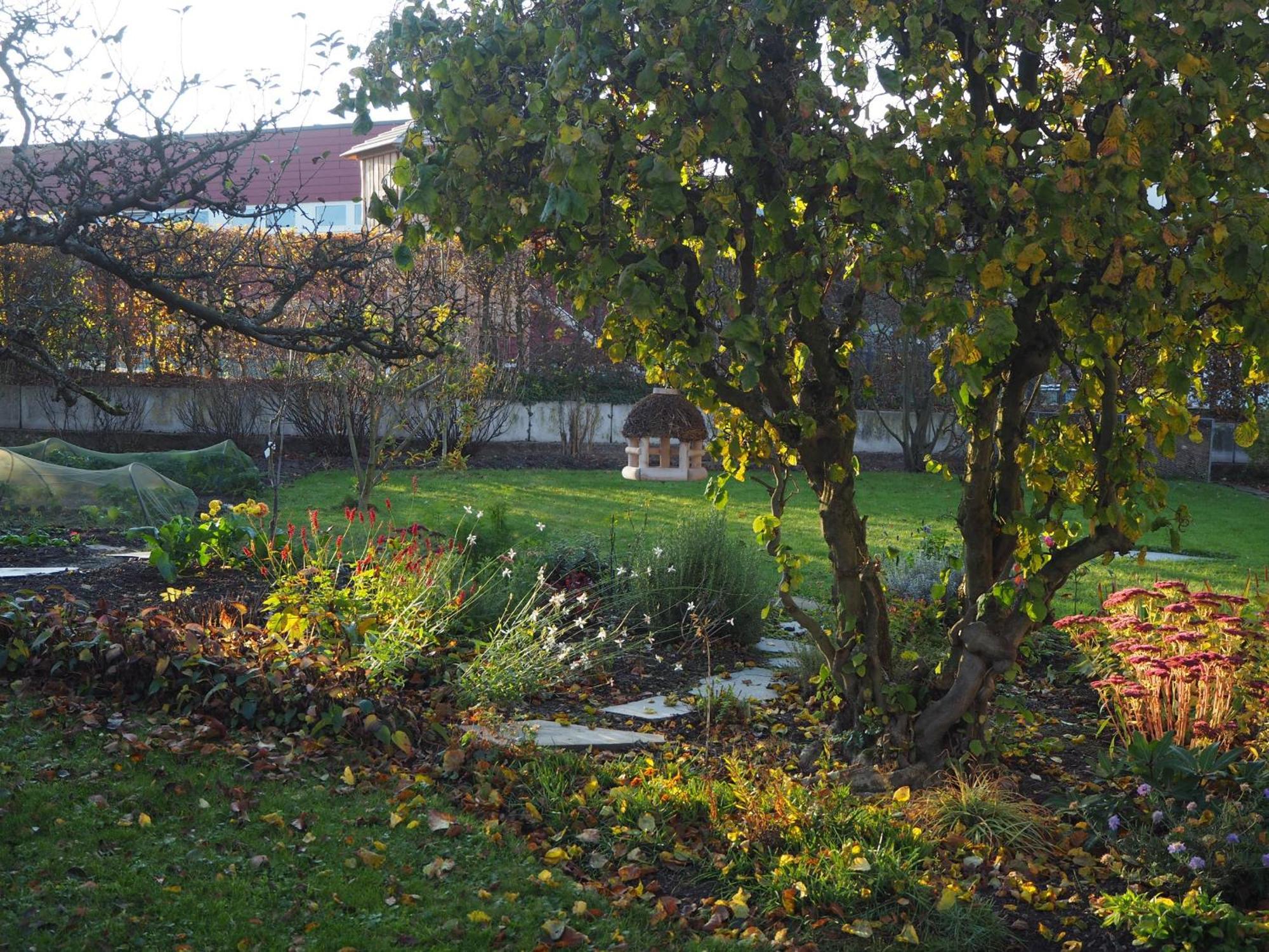 Haus Marianne Appartement Arnsberg Buitenkant foto